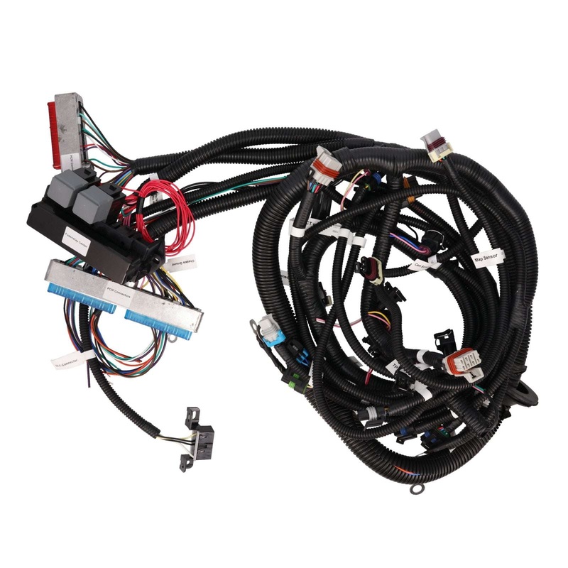 GM Standalone LS1 Drive by Cable Engine and T56 Manual Transmission Wiring Harness