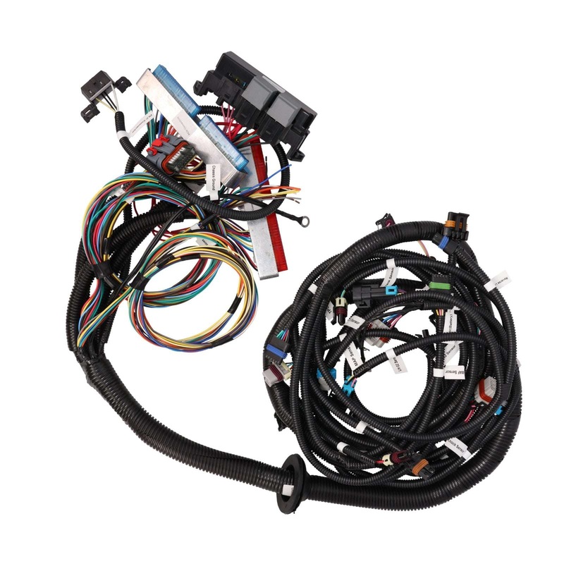 GM Standalone LS1 Drive by Wire Engine and T56 Manual Transmission Wiring Harness
